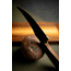 Skallywag Tactical Scorpion Pro Fixed Blade Knife, 2.75in, Steel 440c, Persian, G10 Hunter Orange Handle, Black, Scorpion Pro - Hunter Orange