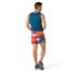 Smartwool Active Lined 5in Short - Mens, Carnival Horizon Print, Medium, SW016965L551-M
