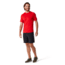 Smartwool Merino 150 Baselayer Short Sleeve - Mens, Cardinal Red, Large, SW016041D32-L