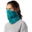 Smartwool Merino 150 Neck Gaiter, Dark Peacock Cactus Print, 1FM, SW018028D75-1FM