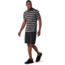 Smartwool Merino 150 Polo - Mens, Iron Stripe, Large, SW000216D48-L
