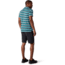 Smartwool Merino 150 Polo - Mens, Pacific Stripe, Medium, SW000216D55-M