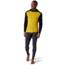Smartwool Merino 250 Baselayer Hoodie - Mens, Golden Olive/Black, Medium, SW016359H16M