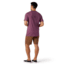 Smartwool Merino Sport 150 Go Far, Feel Good Spokes Short Sleeve Graphic Tee - Mens, Argyle Purple Heather, Large, SW016731J46L