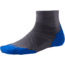 Smartwool PhD Run Light Elite Mini Sock - Men's-Graphite/Bright Blue-Large