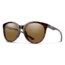 Smith Bayside Sunglasses, Tortoise Frame, ChromaPop Polarized Brown Lens, 20367208654L5