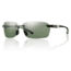 Smith Optics Trailblazer sg, Black/pol Gray grn chrom lens TZRPGNBK