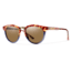 Smith Questa Sunglasses-Tortoise Blue-Brown