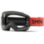 Smith Squad MTB Goggle, Clear Anti-Fog Lens, Sage/Red Rock, M0084100799MY