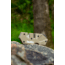 Smiths PP1-Mini Tactical Sharpener, Desert Tan, SP-50983