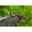 Smiths PP1-Mini Tactical Sharpener, OD Green, SP-50984