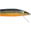 Smithwick Suspending Rattlin' Rogue Jerkbait, 4.5in, Gold Rogue, ASDRB1269