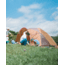 Snow Peak Amenity Dome Tent, Medium, SDE-001RH