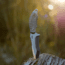 SOG Specialty Knives &amp; Tools Kiku 4 Inch Dual Direction Satin Fixed Blade Knife w/ Micarta Handle and Kydex Sheath, Silver, KU-2022