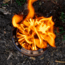 Solo Stove Campfire, Stainless Steel, Small, SSCF