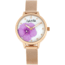 Sophie And Freda Raleigh Mother-Of-Pearl Bracelet Watch w/Swarovski Crystals, Pink, One Size, SAFSF5705