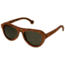 Spectrum Sunglasses Stroud S110bk Sunglasses, Orange Frame, Black Lens SSGS110BK