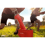 Spyra LX Water Blaster, Red, SPLX1R