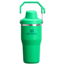 Stanley The IceFlow Fast Flow 20 oz Tumbler with Fast Flow Lid, Meadow, 20 oz / 0.59 L, 10-11300-017
