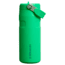 Stanley The IceFlow Flip Straw 2.0 16 oz Bottle with Flip Straw Lid, Meadow, 16 oz / 0.47 L, 10-12110-022