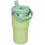 Stanley The IceFlow Flip Straw Tumbler - 20oz, Citron, 20 oz, 10-09994-134