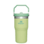 USED Stanley The IceFlow Flip Straw Tumbler - 20oz, Citron, 20 oz, 10-09994-134, EDEMO1
