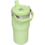 Stanley The IceFlow Flip Straw Tumbler - 20oz, Citron Cub, 20 oz, 10-09994-124