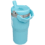 Stanley The IceFlow Flip Straw Tumbler - 20oz, Pool Cub, 20 oz, 10-09994-107