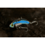 SteelShad Mini, 2 Pack, 1/4 Oz, Kentucky Shad, SSL-10115