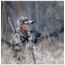 Steiner Predator AF 10x42mm Porro Prism Binoculars, NBR Long Life Rubber Armoring, Black, 2046