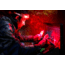 STKR Concepts FLEXIT PRO 6.5 Headlamp, 650 Lumens, Black/ Red, 00387