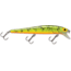 Storm Original Thunderstick Lure 4-3/8in, 1/2oz, Naturist Perch, AJ60
