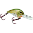 Storm Wiggle Wart Madflash Crankbait, Floating, Tennessee Shad, 2in, 3/8oz, VM867