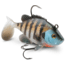 Storm WildEye Live Bluegill 03 Soft Bait, Bluegill, WLBG03