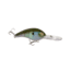 Strike King 10XD Elite Crankbaits, The Real Gill, 2oz, HC10XDE-822