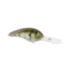 Strike King 5XD Elite Crankbaits, The Real Gill, 5/8oz, HC5XDE-822