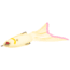 Strike King Hack Attack Pad Perch Fishing Lure, Hollow Body Topwater, Bone, 6in, 1/2oz, HAPP-665, HAPP-665