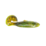 Strike King Rage Buzz Minnow, Green Pumpkin with Chartreuse Belly, 3.75in, RGBZM-94