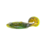 Strike King Rage Buzz Minnow, Green Pumpkin with Chartreuse Belly, 3.75in, RGBZM-94