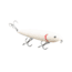 Strike King Saltwater Mega Dawg Topwater Baits, Bone, 2oz, HCMDSW-665