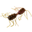 Strike King Sexy Bug Softbait, 6 pack, 2in, Grape Whiskey, 12-36356