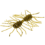 Strike King Sexy Bug Softbait, 6 pack, 2in, Green Pumpkin, 12-36348
