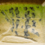 Strike King Bitsy Glide Hard Bait