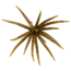 Strike King Chuker Soft Bait