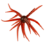 Strike King Chuker Soft Bait