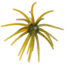 Strike King Chuker Soft Bait