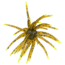 Strike King Chuker Soft Bait