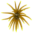 Strike King Chuker Soft Bait