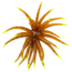 Strike King Chuker Soft Bait