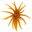 Strike King Chuker Soft Bait